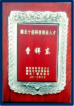 图片43