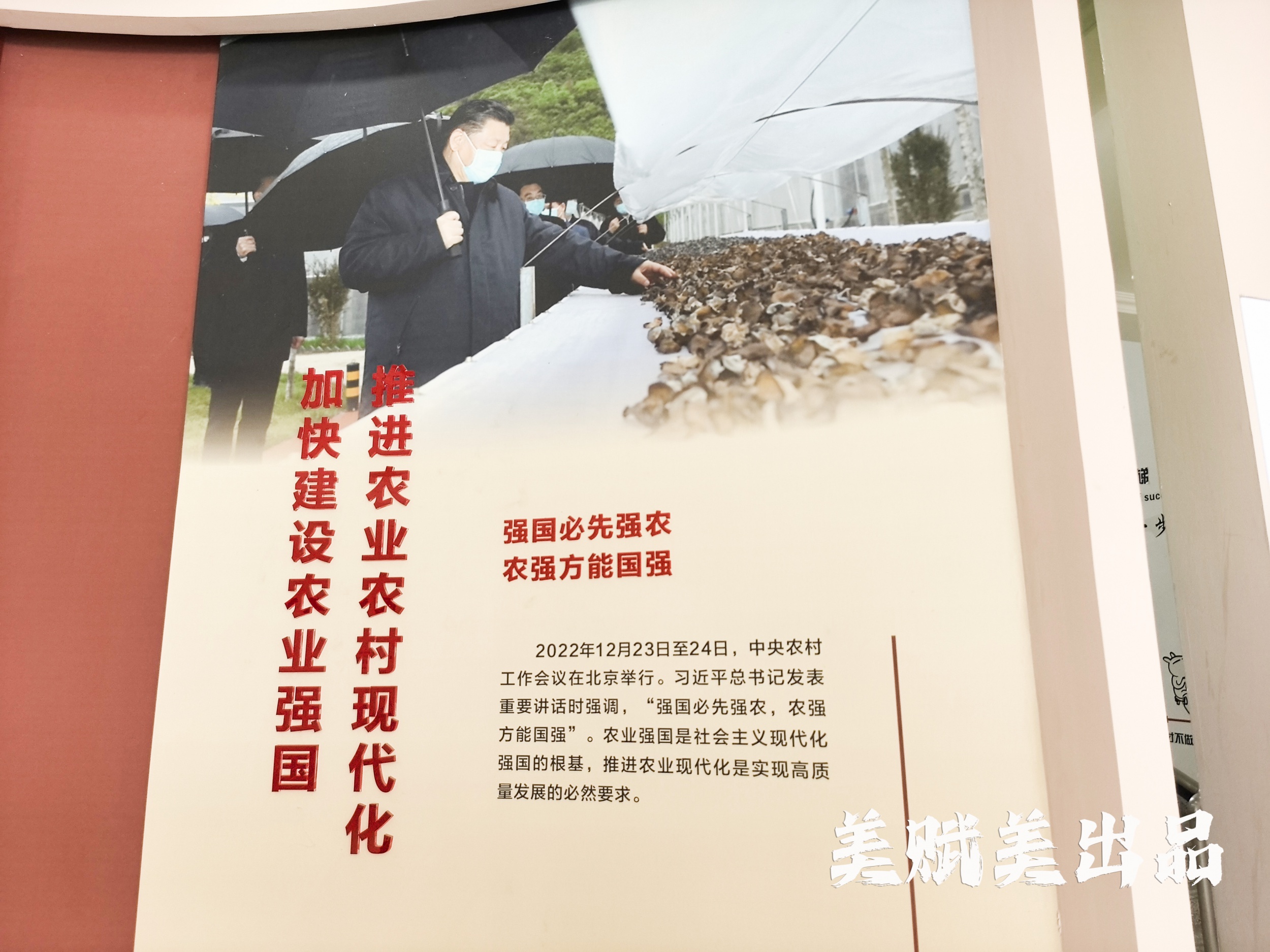 ***川贝毛木耳源头 美赋美融合乡村产业振兴 产教研一体化