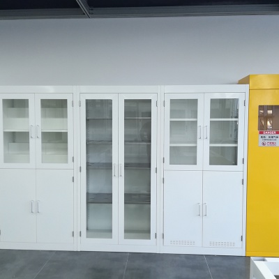 Steel Reagent Cabinet, Medicine Cabinet