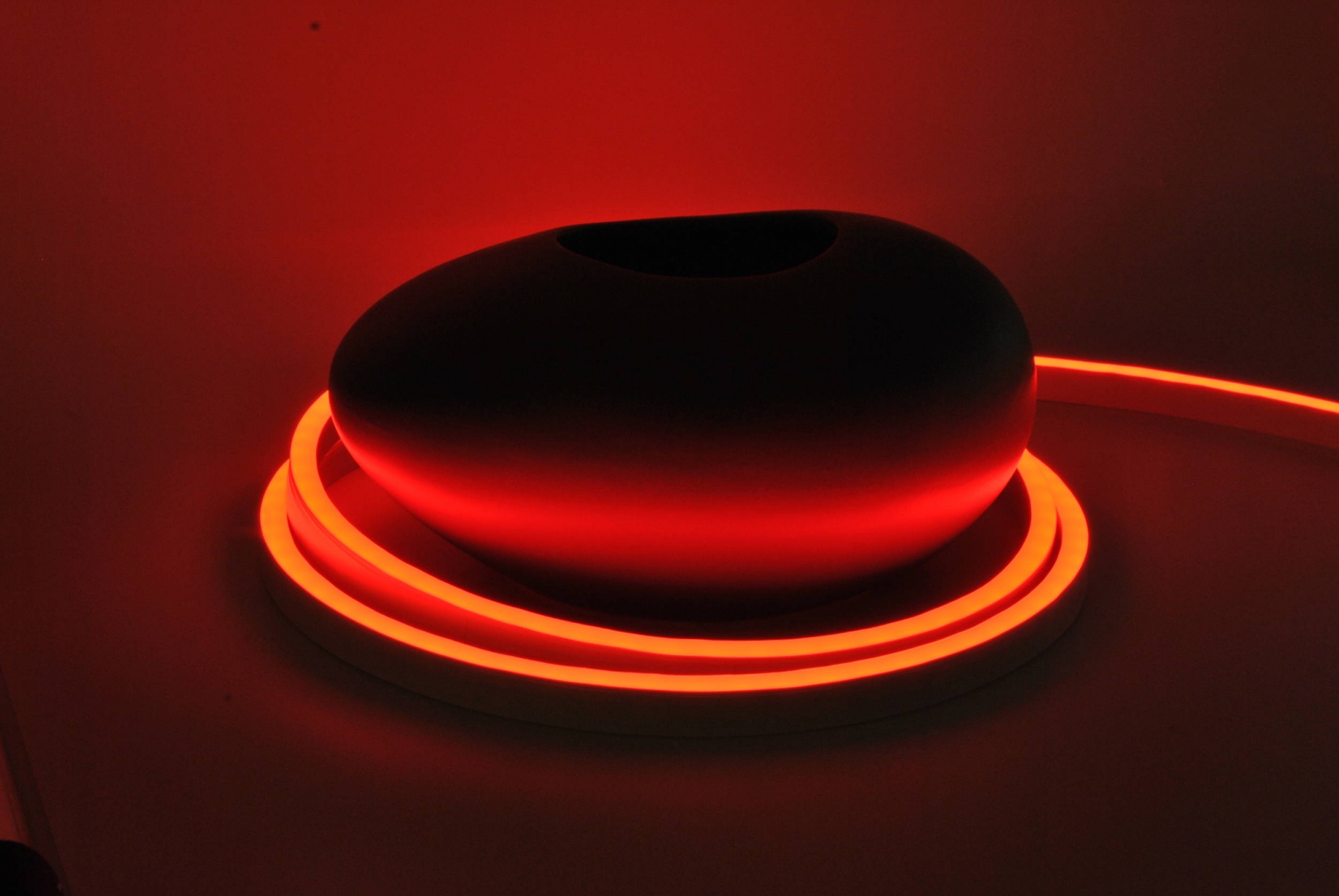 LED NEW NEON 120L/M 24V/120V/240V