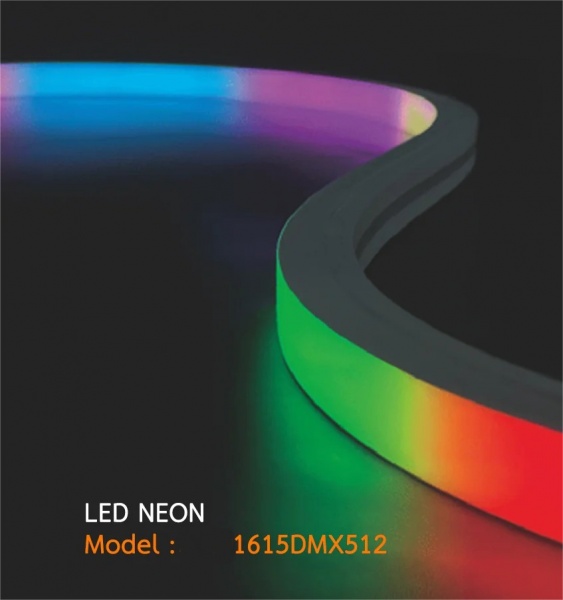 Outdoor engineering Digital Neon Flex Strip Light