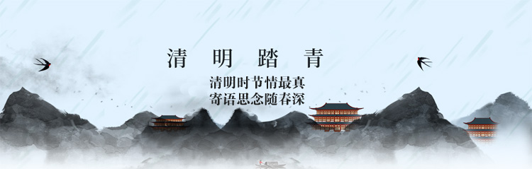 图片展示