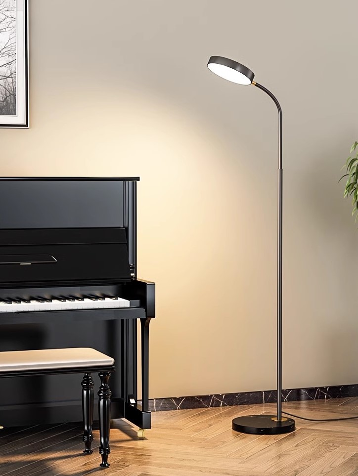 Gold, black iron Nordic piano special eye protection vertical lamp