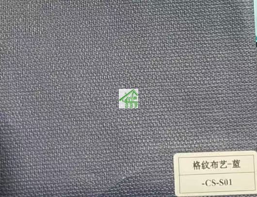 CS-S01