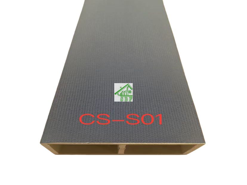 CS-S01