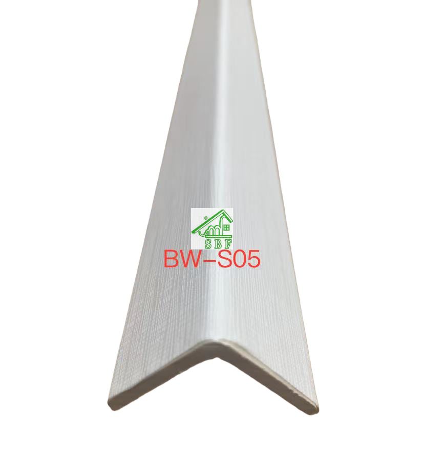 BW-S05