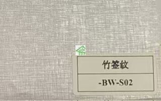 BW-S02