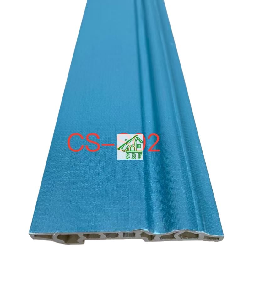 CS-S02