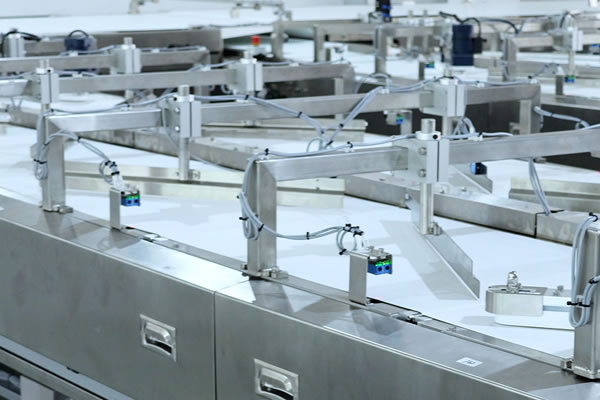 Professional and Efficient, Showcasing Strength: Internal Review Meeting for Sandwich Cookies&Cracker packaging line
