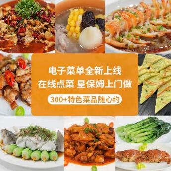 星保姆包年X5