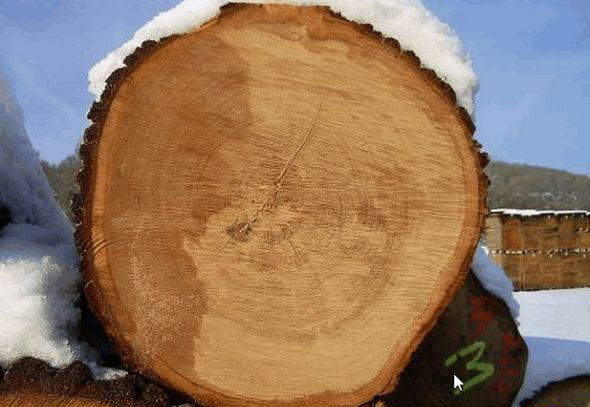 美狮贵宾会 - 首页