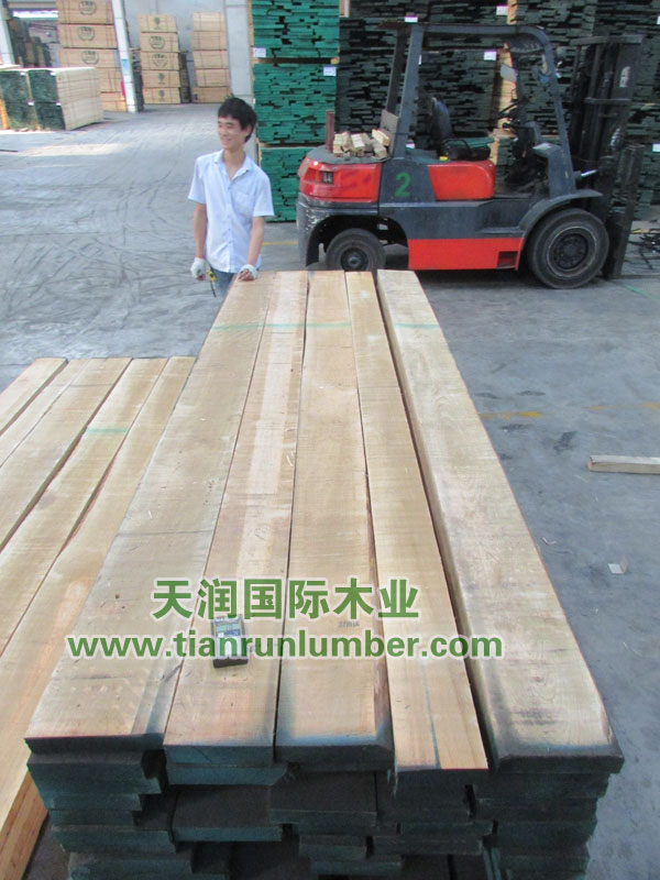 美狮贵宾会 - 首页