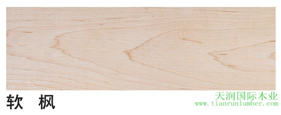 美狮贵宾会 - 首页