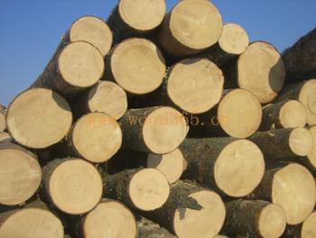 美狮贵宾会 - 首页