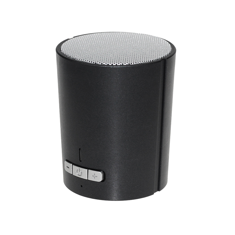 Portable bluetooth speaker BT-320