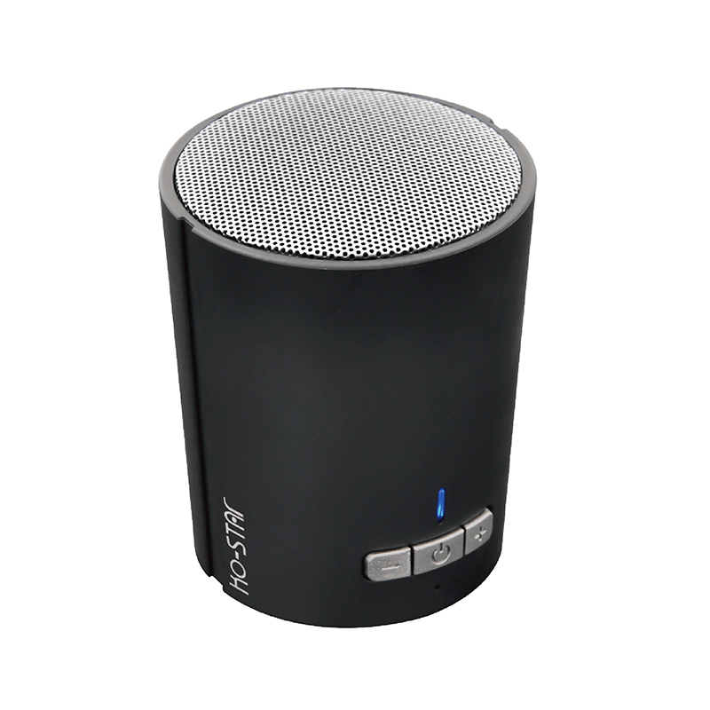 Portable bluetooth speaker BT-320