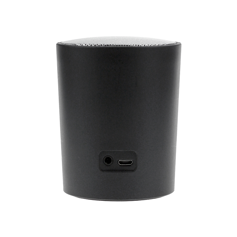 Portable bluetooth speaker BT-320
