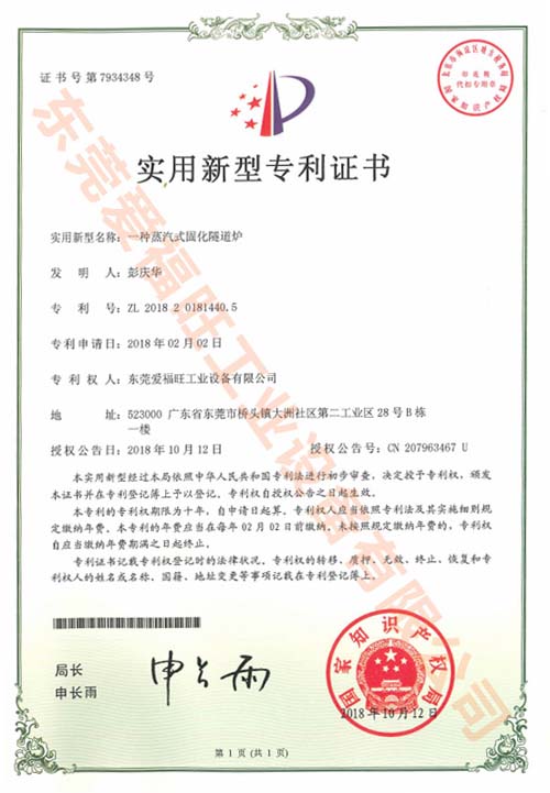 蒸汽式固化隧道炉