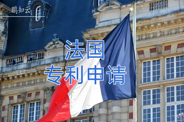 法国专利申请
