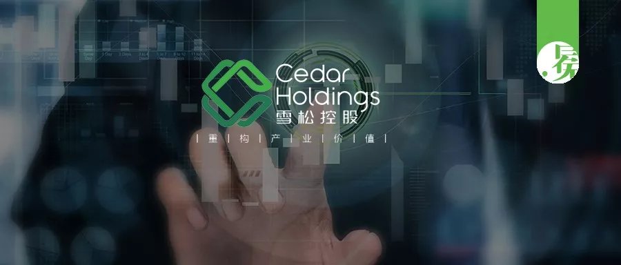 又获国有大行200亿授信，雪松做对了什么？ || 深度