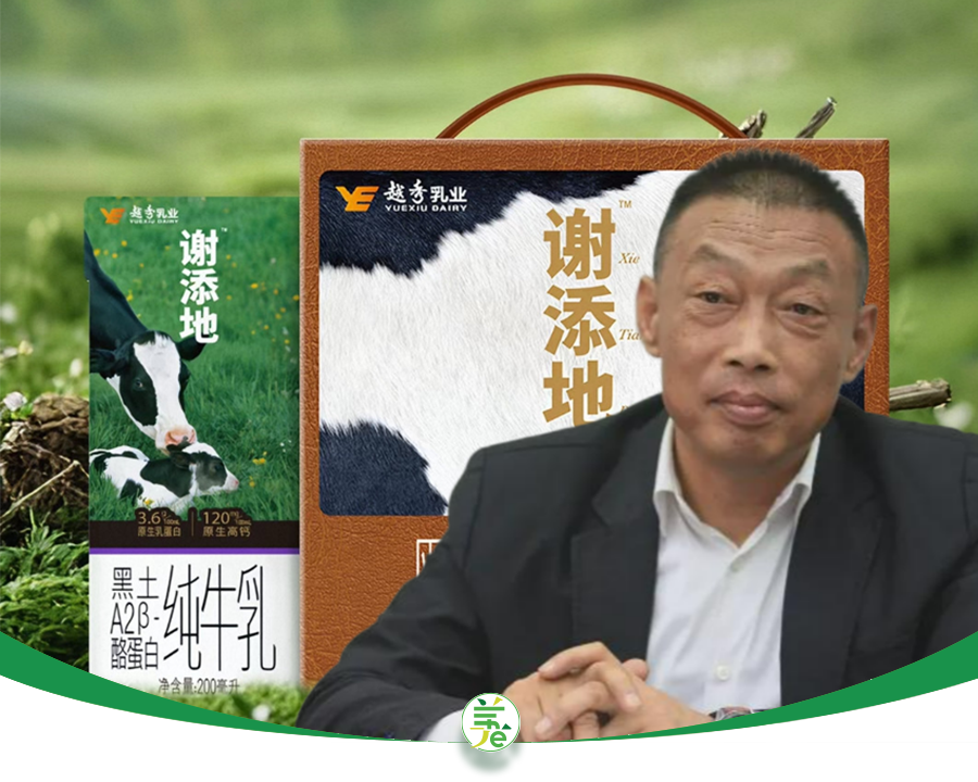 蒙牛“老兵”白瑛，败走越秀乳业，时也？势也？