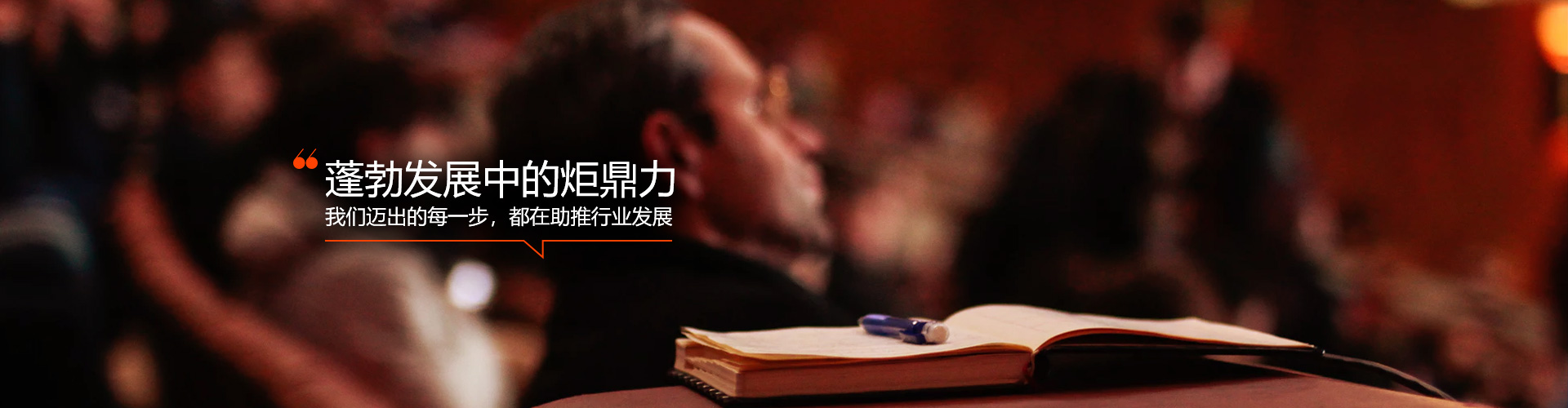 图片展示