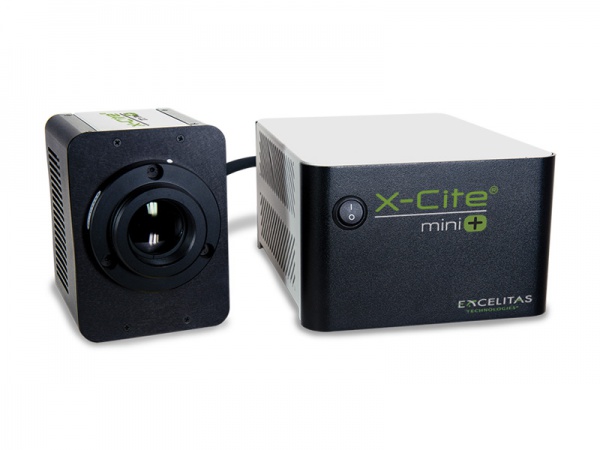 X-Cite mini+