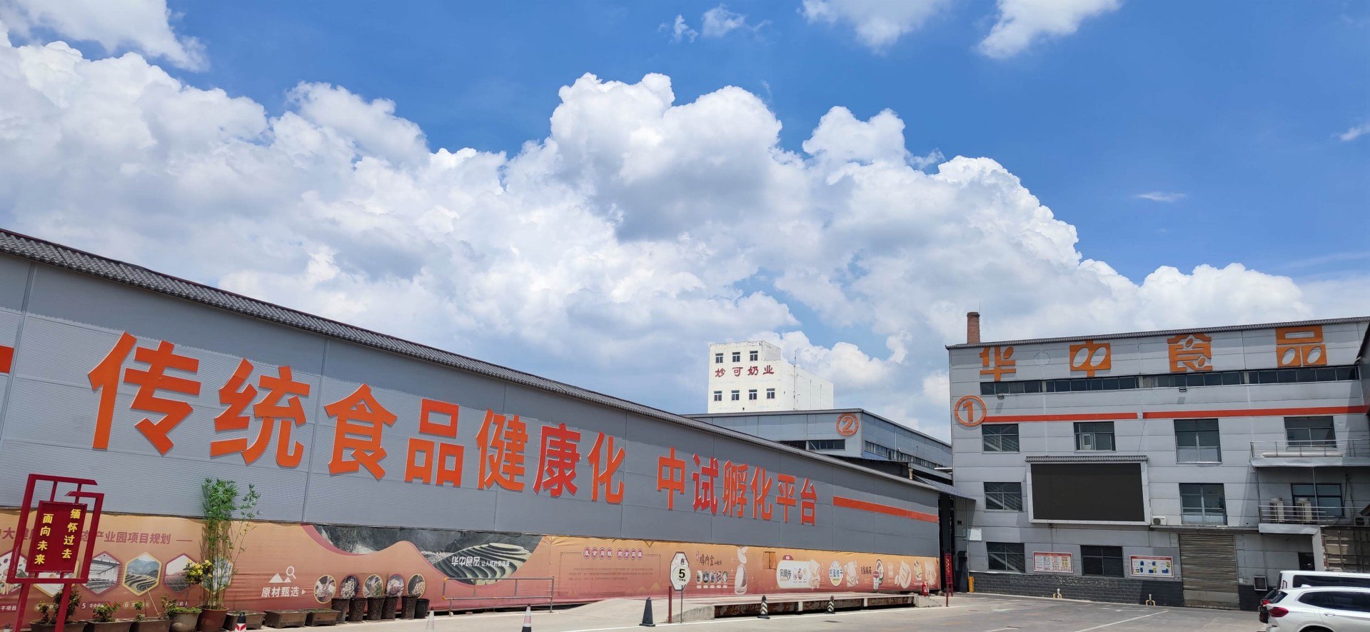 图片展示