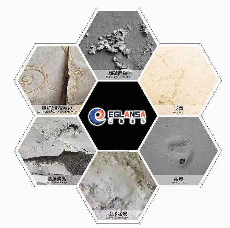 图片展示