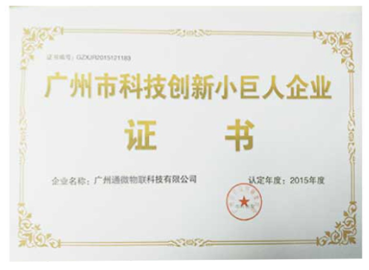小巨人企业
