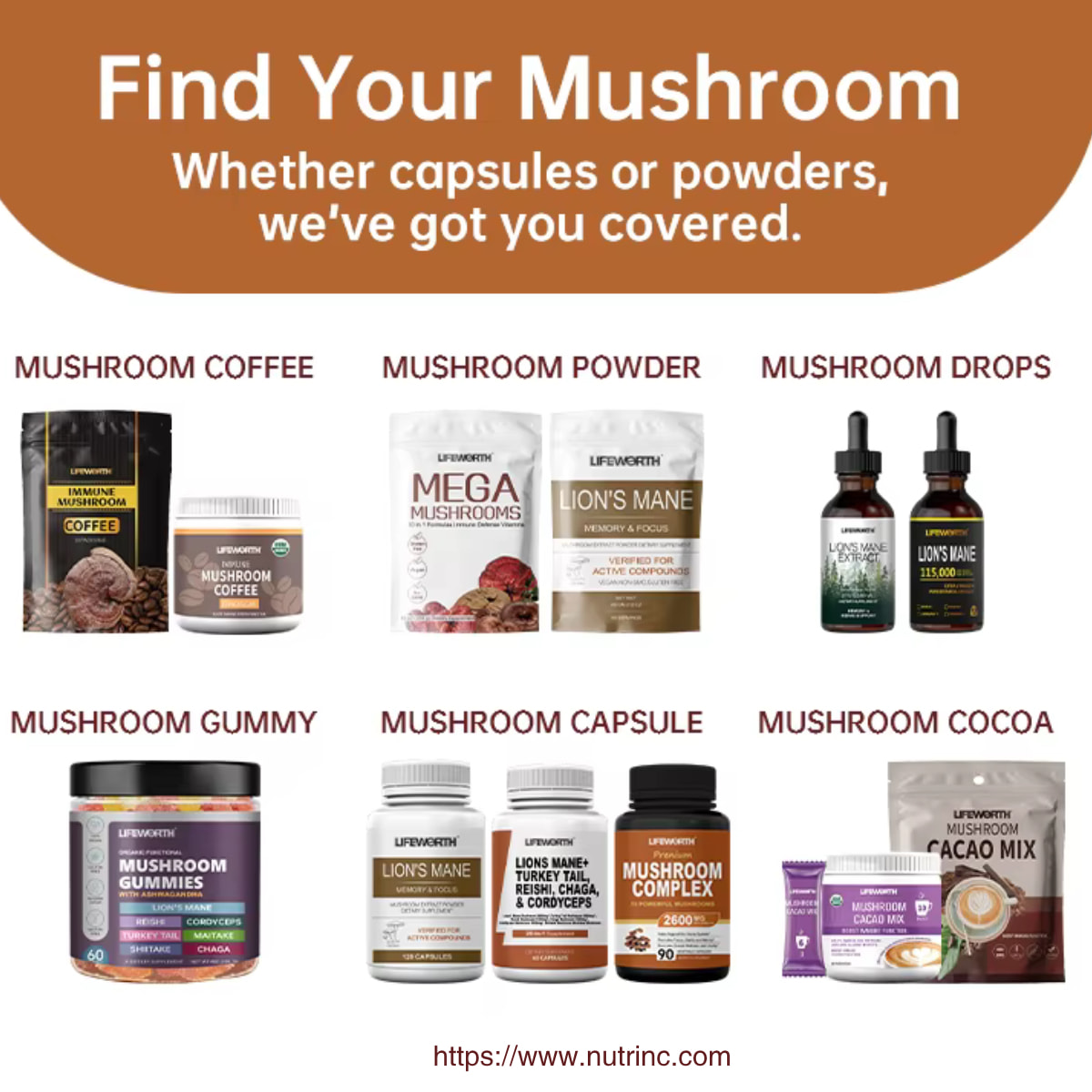 Reishi Mushroom Extract Polysaccharide 30%