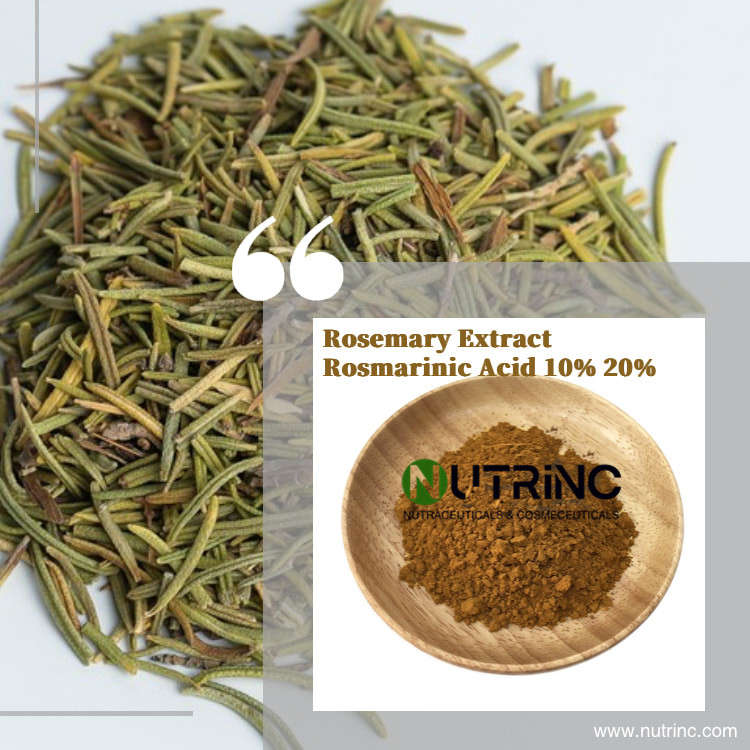 Rosemary Extract Rosmarinic Acid 10% 20%