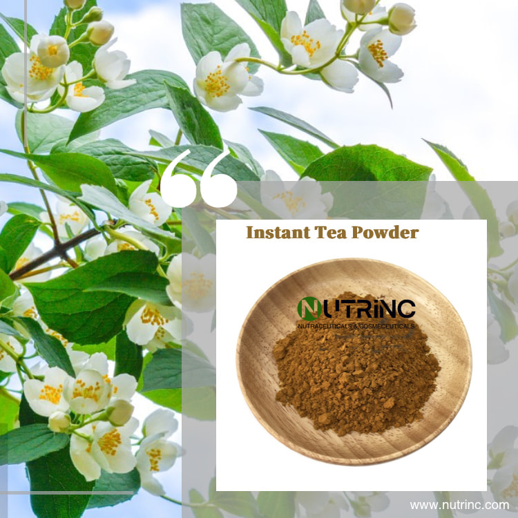 Instant Tea Powder