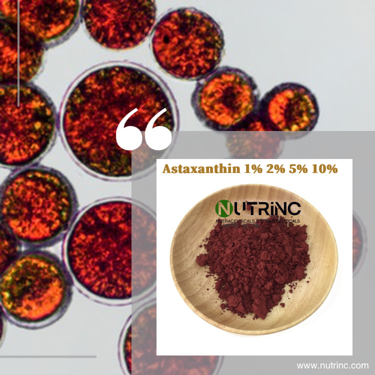 Astaxanthin 1% 2% 5% 10%