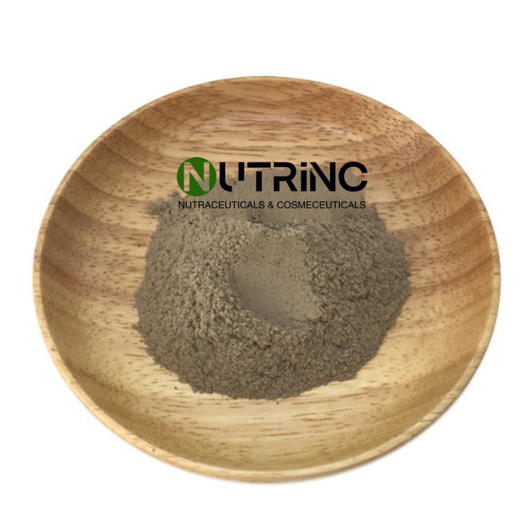 Sponge Spicule 20% 70% 98%
