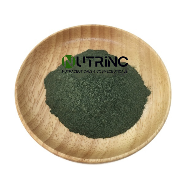 Sponge Spicule 20% 70% 98%