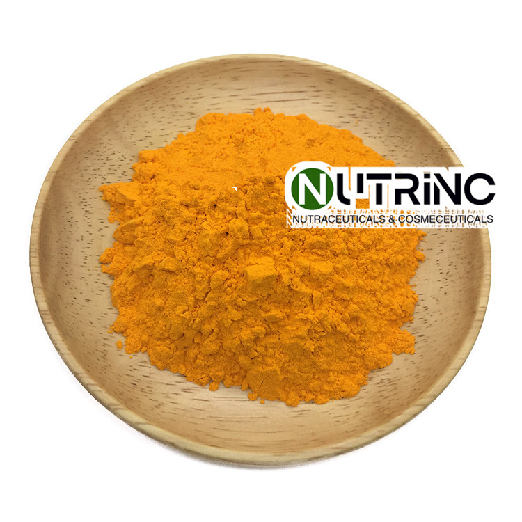 Turmeric Extract Curcumin 95% 10%