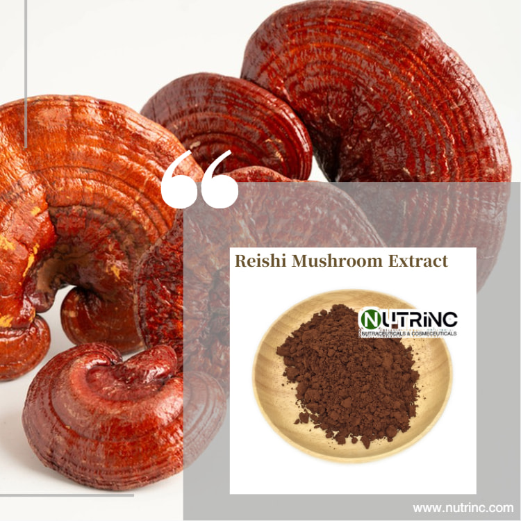 Reishi Mushroom Extract Polysaccharide 30%