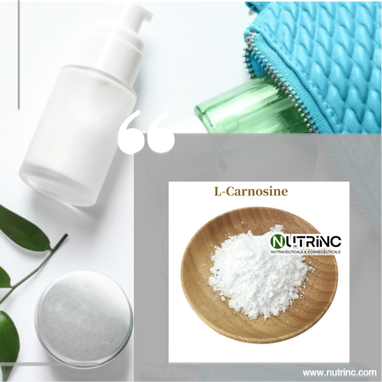 L-Carnosine CAS No:305-84-0