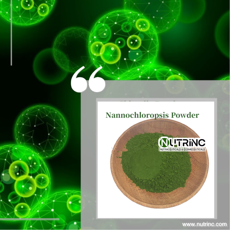 Nannochloropsis Powder EPA 6.5%