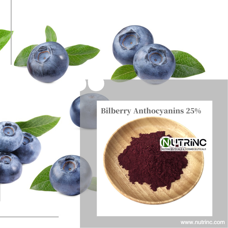 Bilberry Extract Anthocyanins 25%