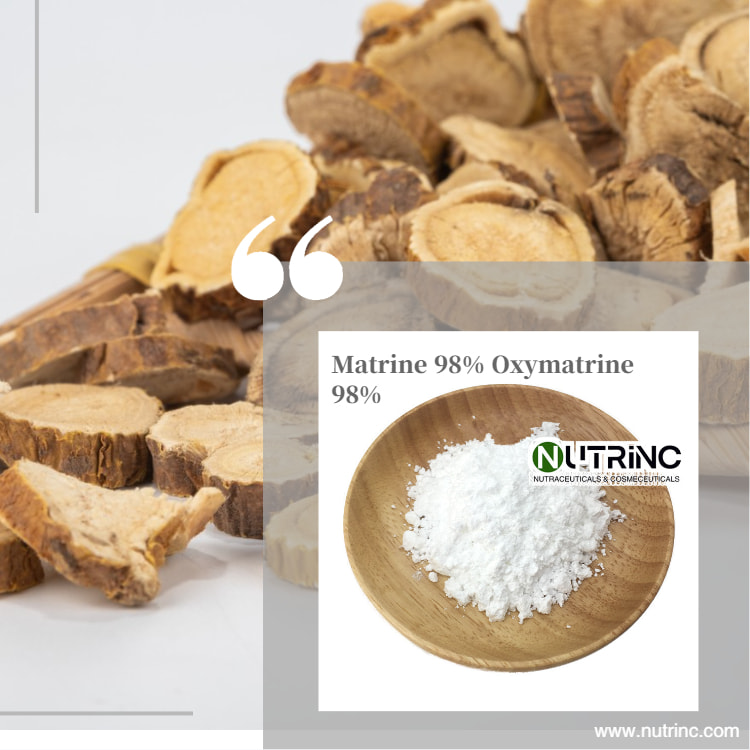 Sophora Flavescens Root Extract Matrine 98% Oxymatrine 98%