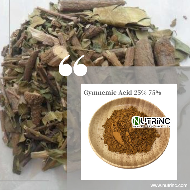Gymnema Silvestre Extract Gymnemic Acid 25% 75%