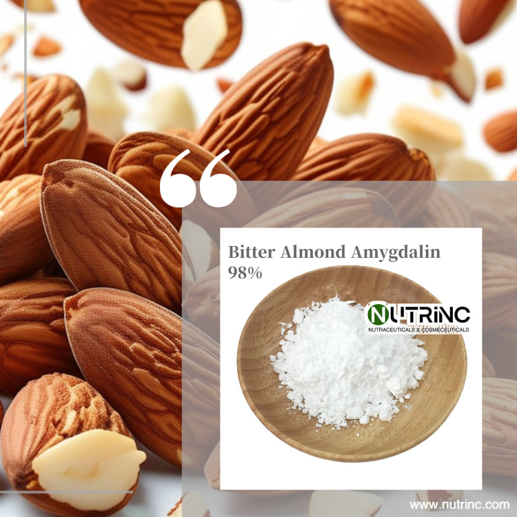 Bitter Almond Extract Amygdalin 5% 98%