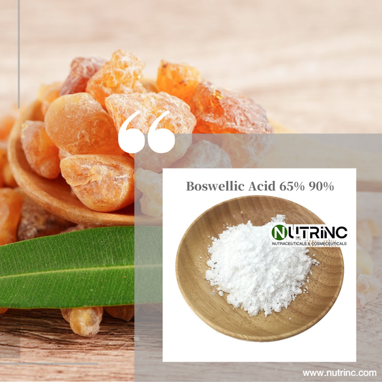 Boswellic Acid 65% 90% 