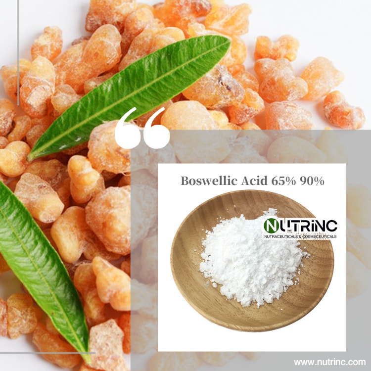Boswellic Acid 65% 90% 