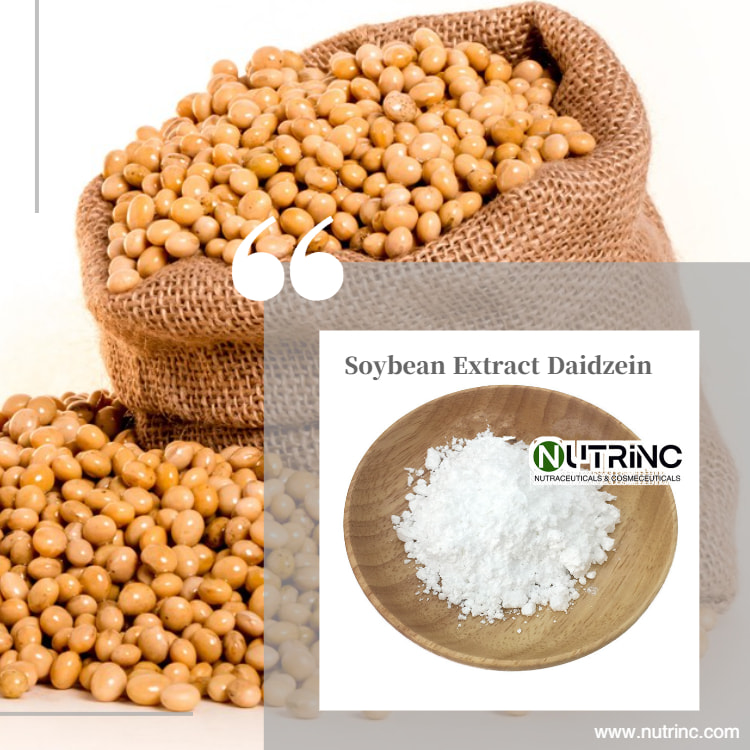 Soybean Extract Daidzein 98%