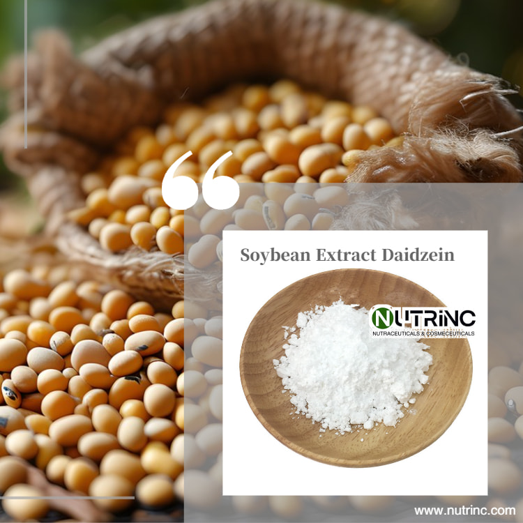 Soybean Extract Daidzein 98%