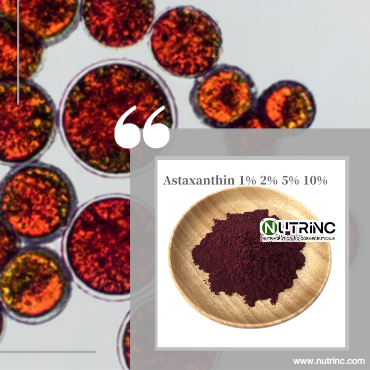 Astaxanthin 1% 2% 5% 10%