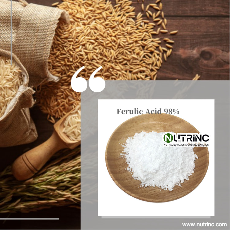 Ferulic Acid 98%